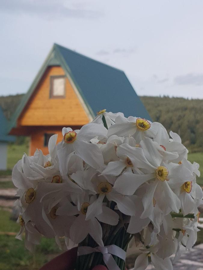 Bungalovi Tim Žabljak Buitenkant foto