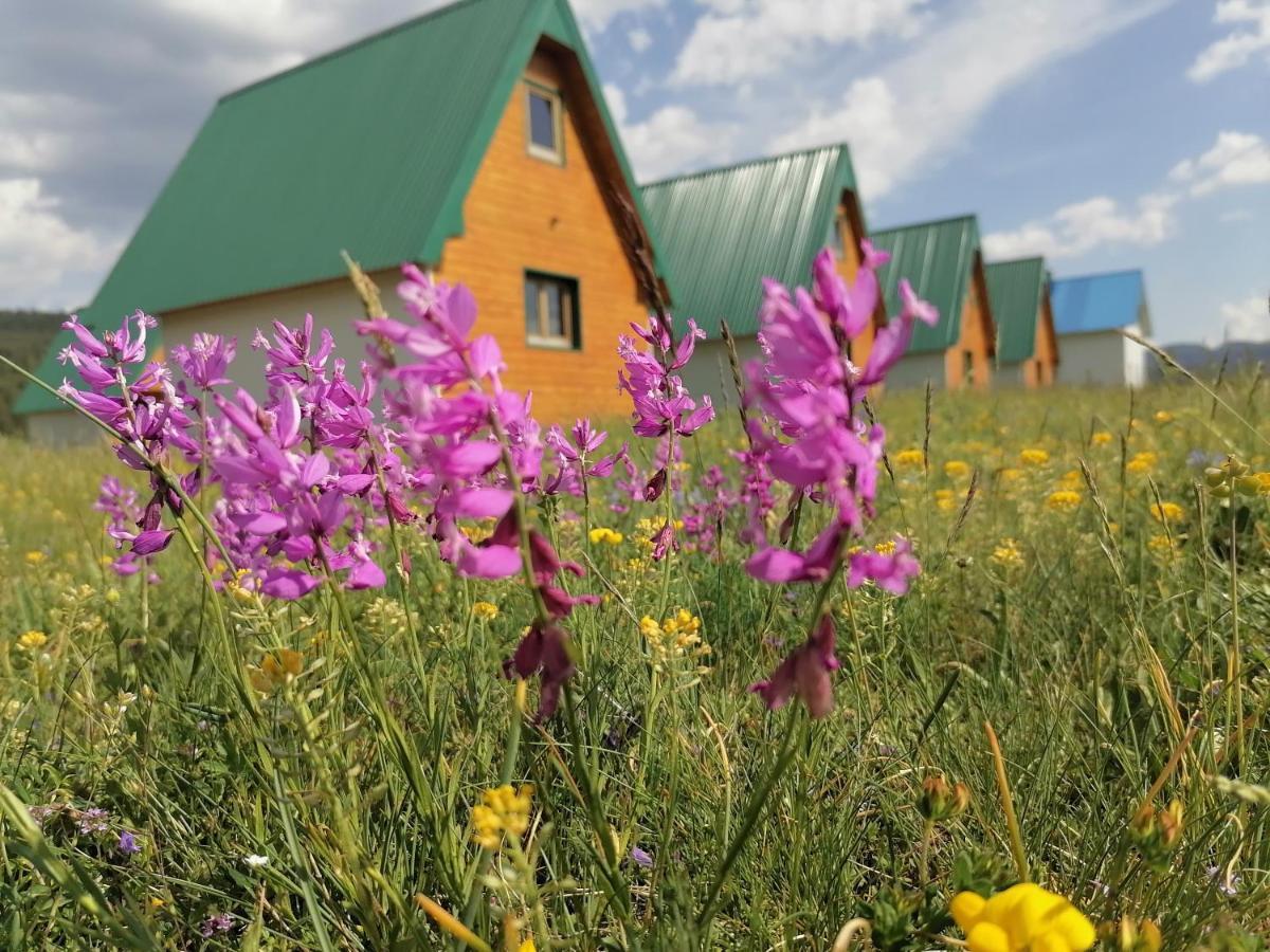 Bungalovi Tim Žabljak Buitenkant foto