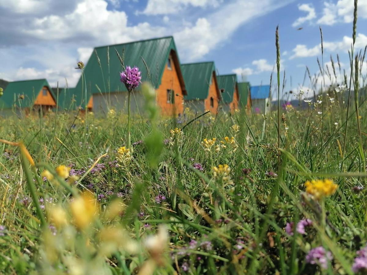 Bungalovi Tim Žabljak Buitenkant foto