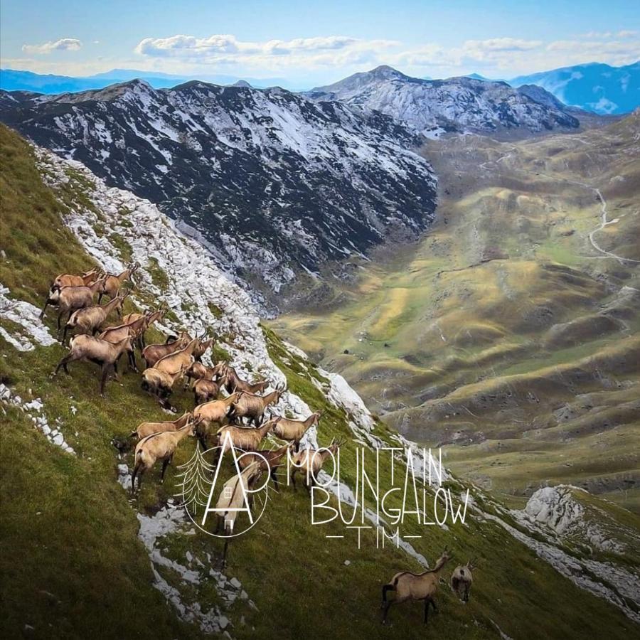Bungalovi Tim Žabljak Buitenkant foto